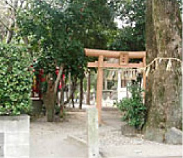 志賀神社画像